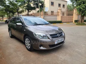Toyota Corolla Fielder 2009 Gray