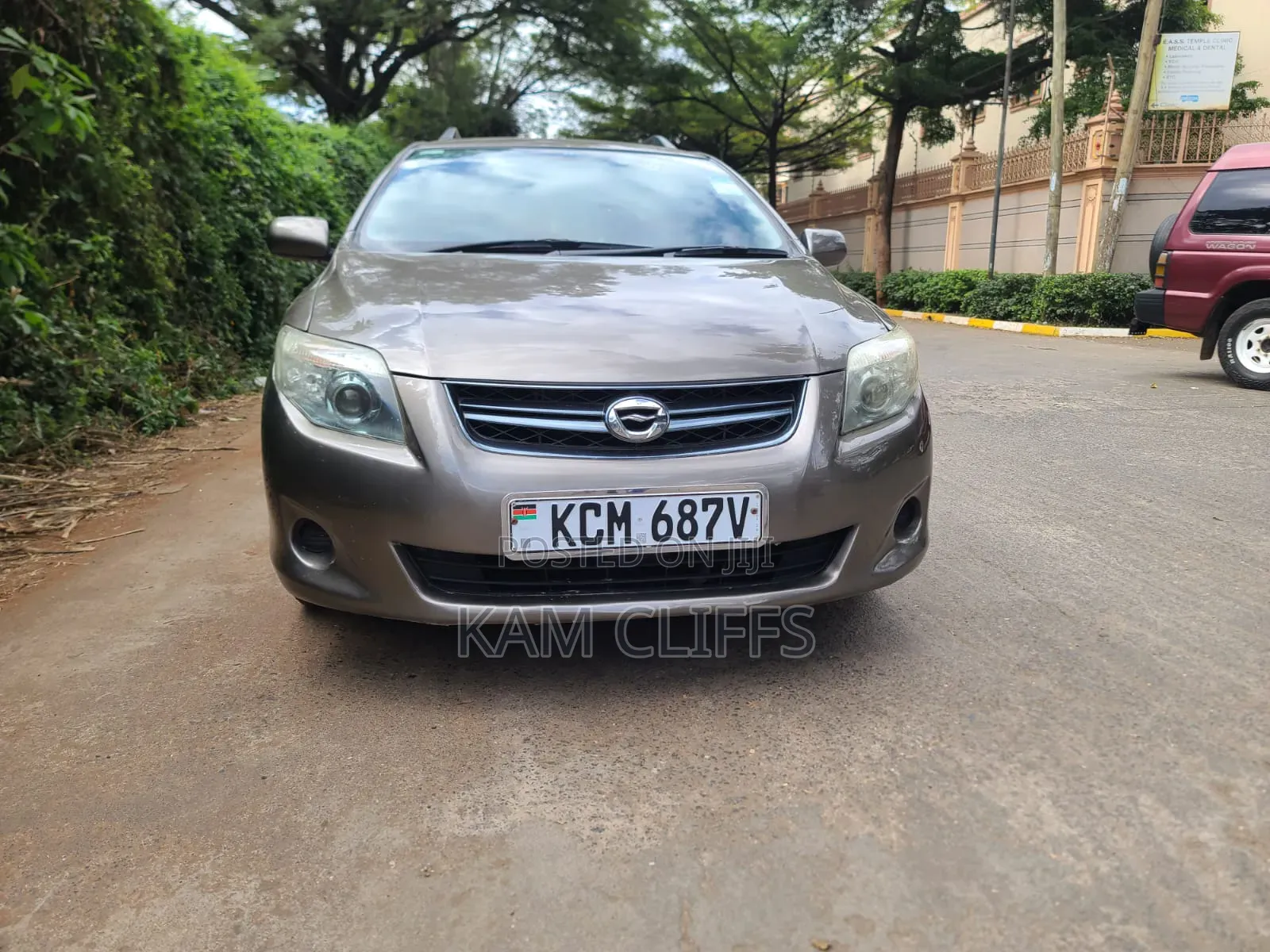 Toyota Corolla Fielder 2009 Gray