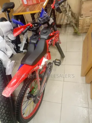 Professional Kids Mountain Bike