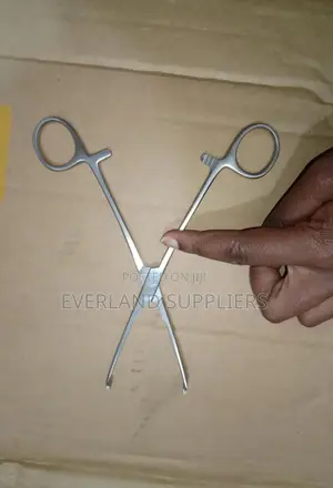 Professional Forceps Stainless for Livestocks