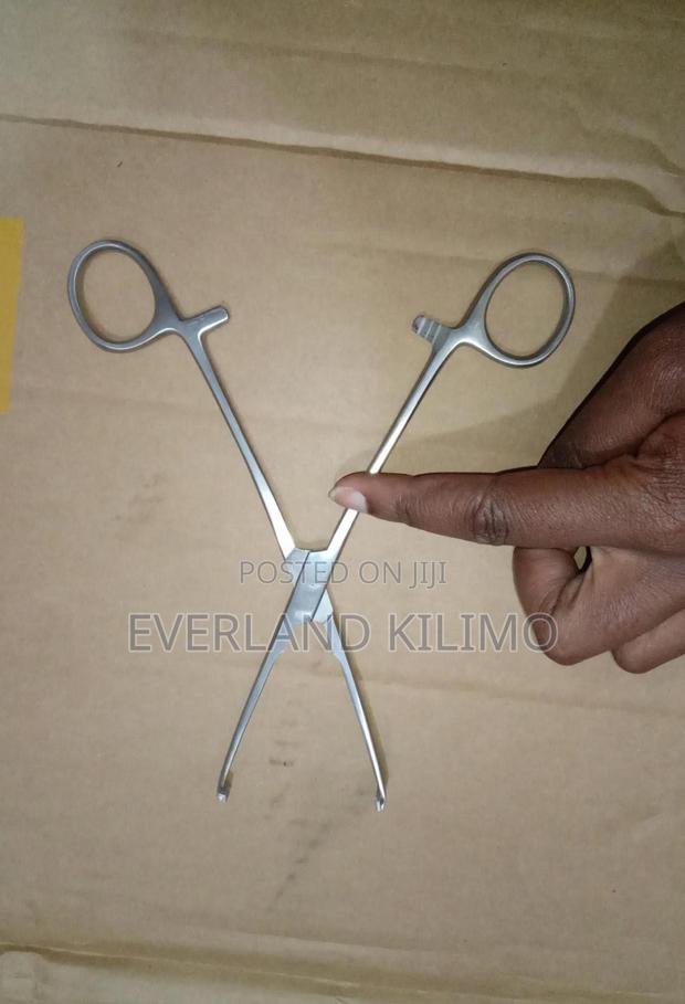 Professional Forceps Stainless for Livestocks - main view