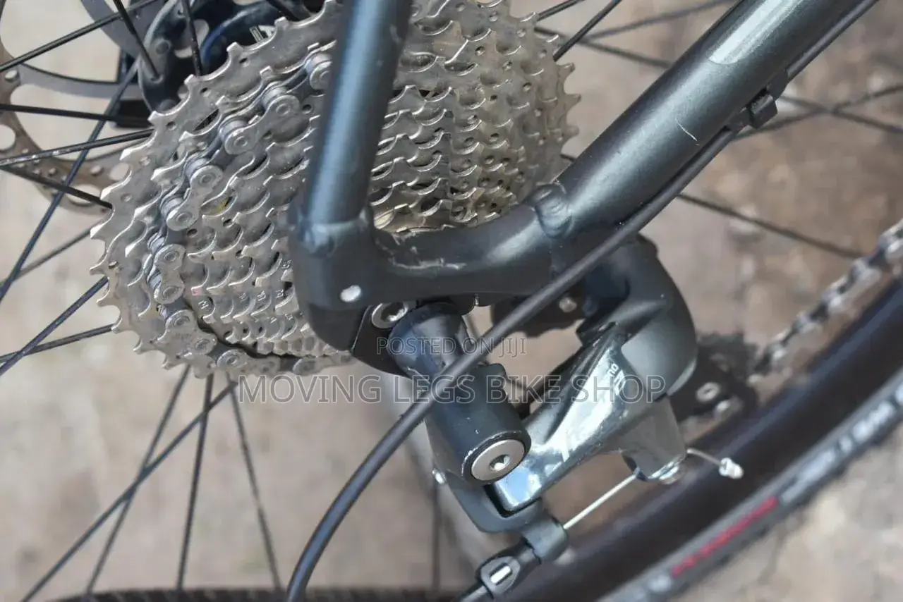Gravel Bike
