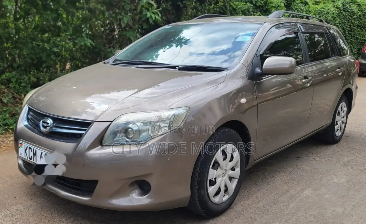Toyota Corolla Fielder 2010 Gold