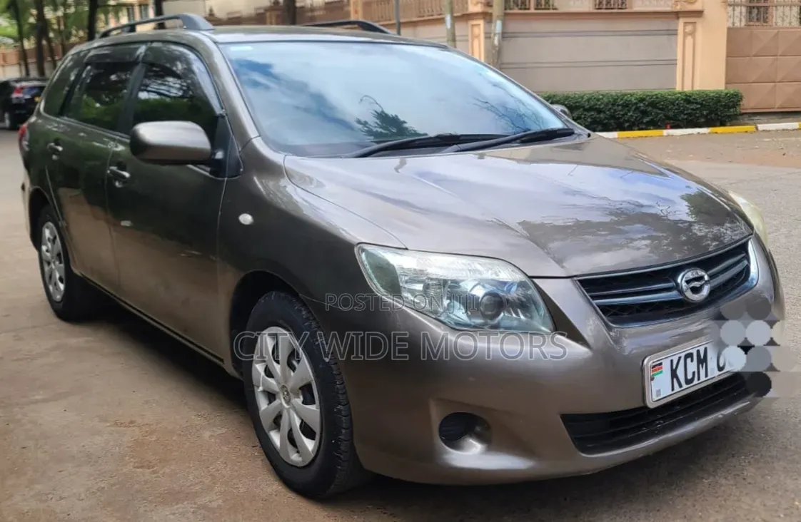 Toyota Corolla Fielder 2010 Gold