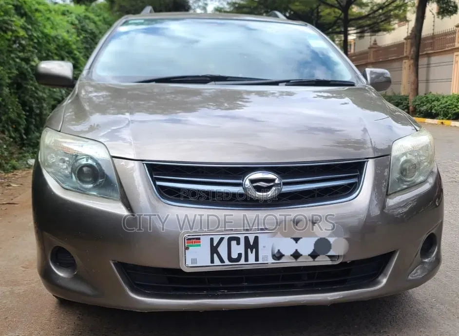 Toyota Corolla Fielder 2010 Gold