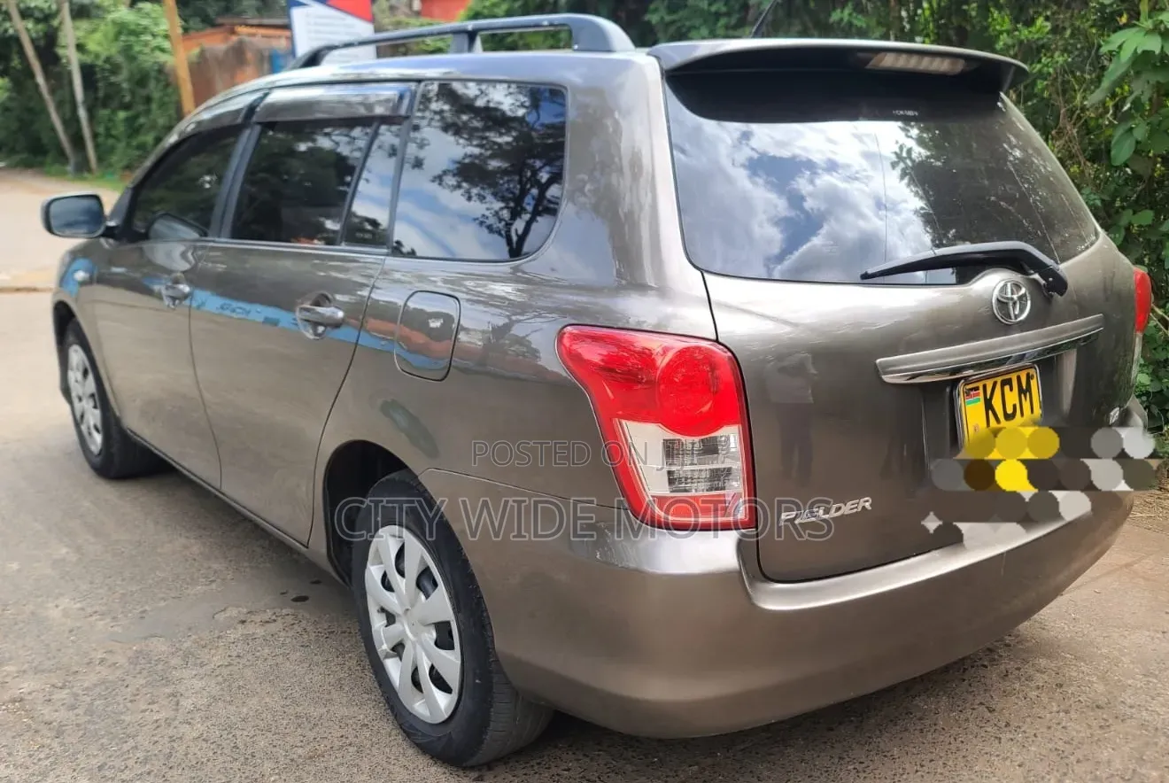Toyota Corolla Fielder 2010 Gold