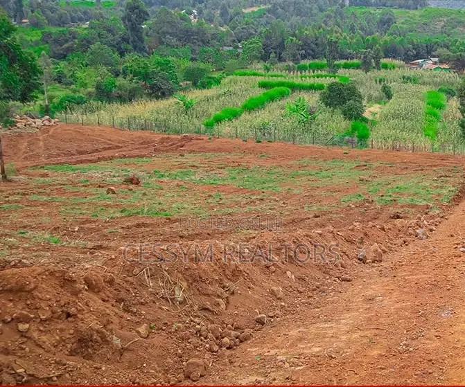 50x100 Plots for Sale in Kikuyu Nachu. Located 200mtr From Tarmac Road
