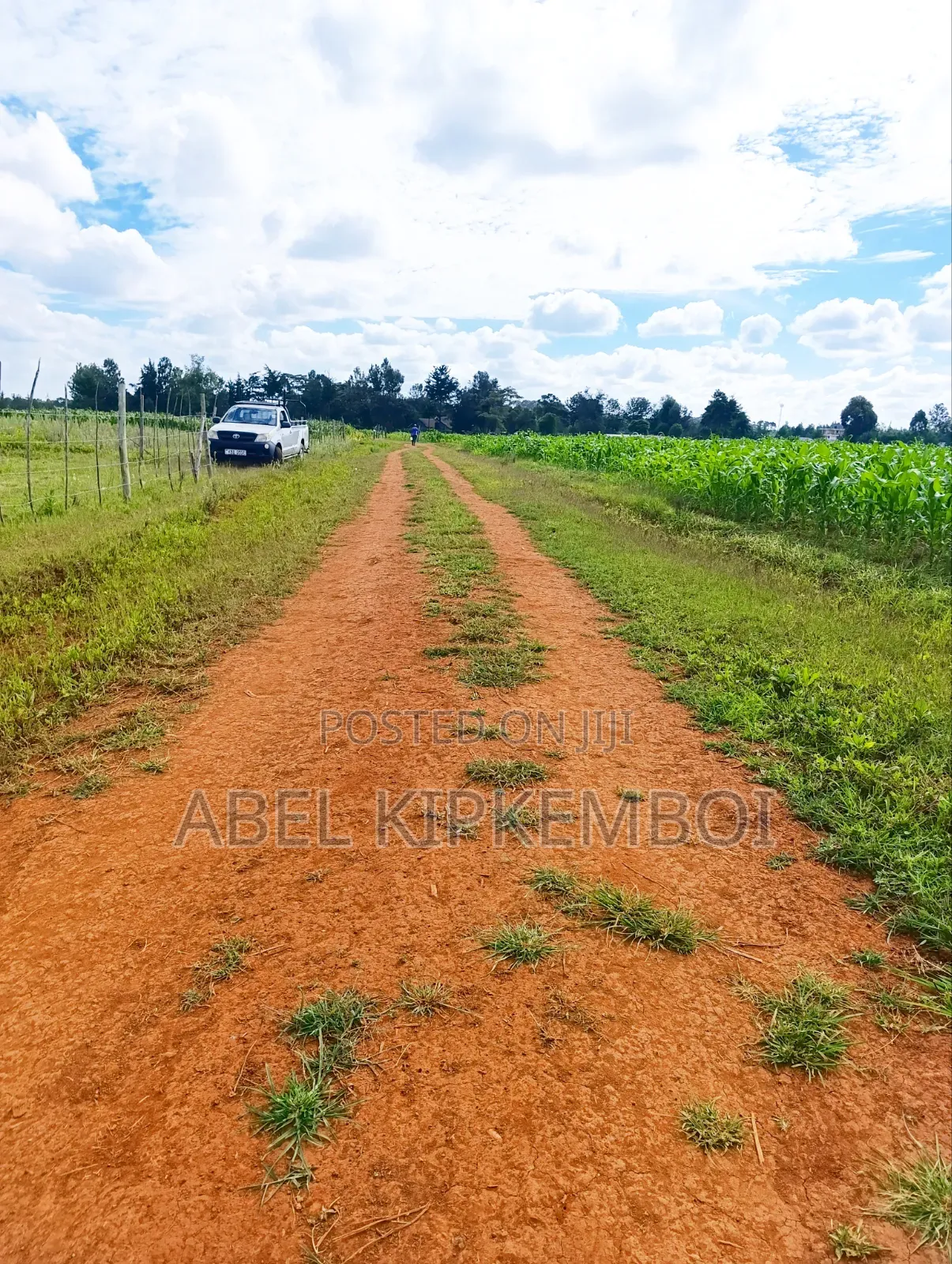 Plot for Sale