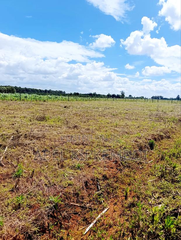 Plot for Sale - thumbnail 3