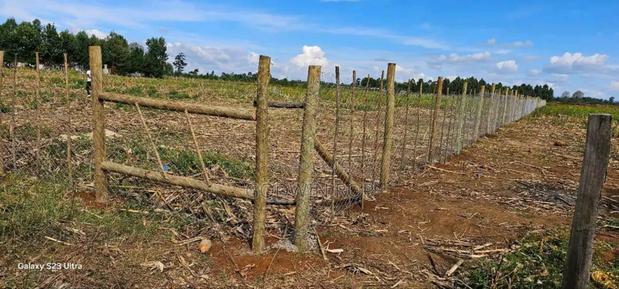 1⁄4 Plots for Sale in Illula Limo Eldoret.