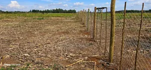 1⁄4 Plots for Sale in Illula Limo Eldoret.