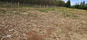 1⁄4 Plots for Sale in Illula Limo Eldoret.