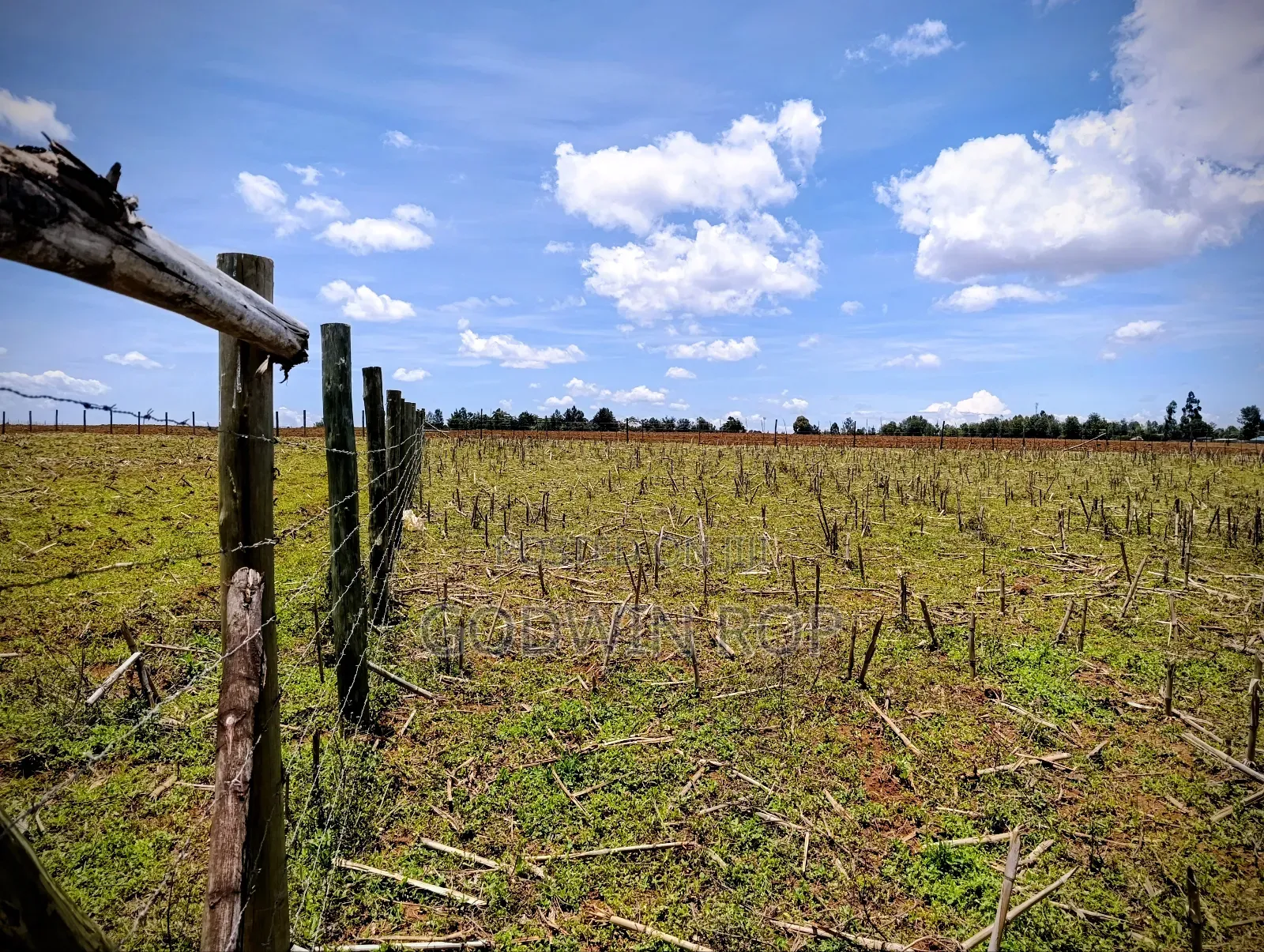 Plots for Sale in Illula Near Haven Centre