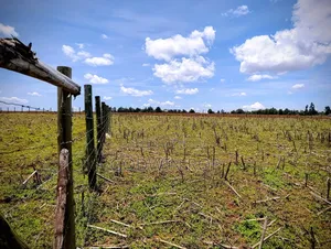 Plots for Sale in Illula Near Haven Centre