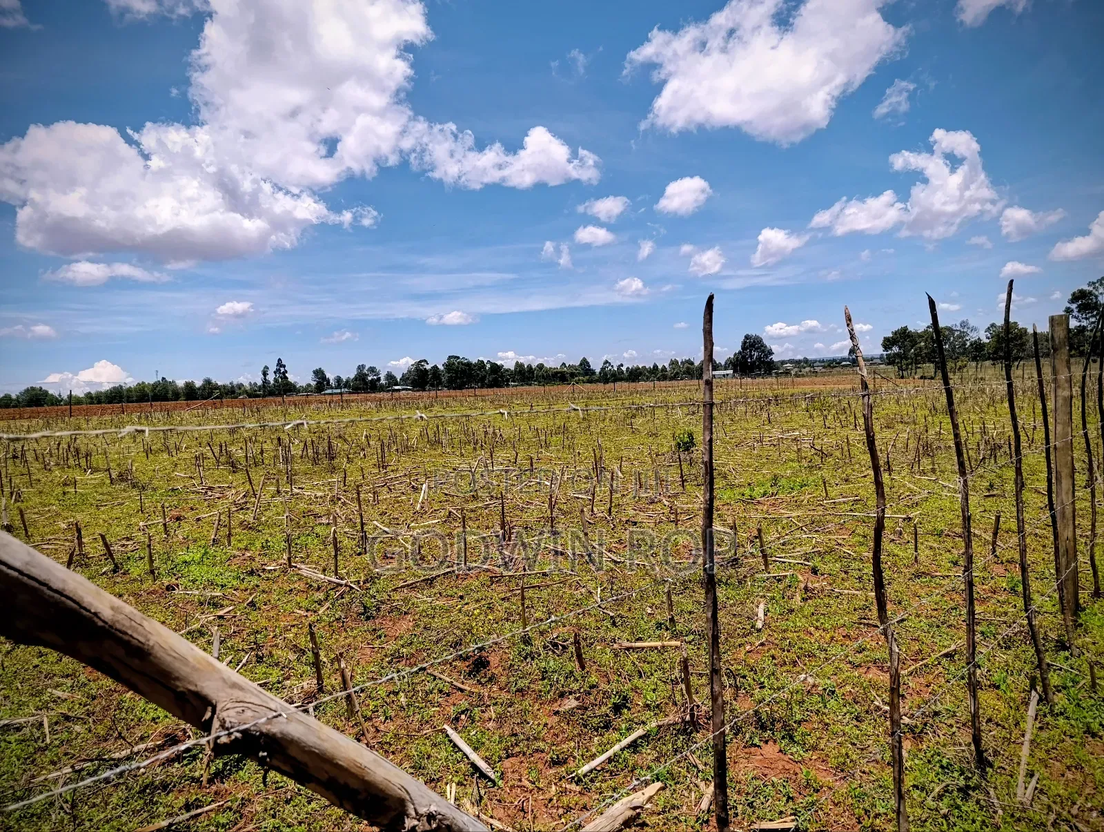 Plots for Sale in Illula Near Haven Centre