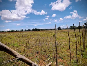 Plots for Sale in Illula Near Haven Centre