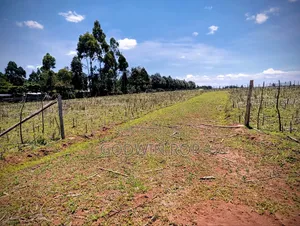 Plots for Sale in Illula Near Haven Centre