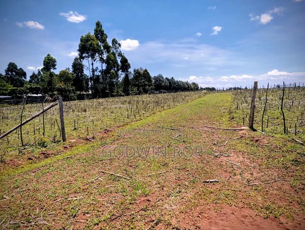 Plots for Sale in Illula Near Haven Centre - thumbnail 4