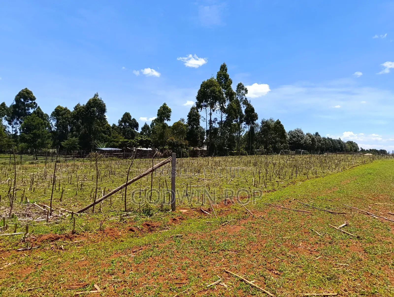 Plots for Sale in Illula Near Haven Centre