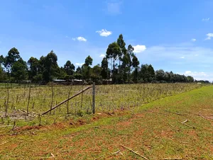 Plots for Sale in Illula Near Haven Centre