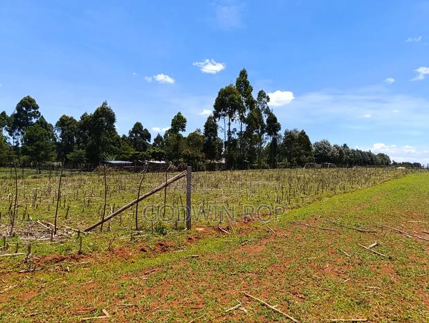 Plots for Sale in Illula Near Haven Centre - thumbnail 5