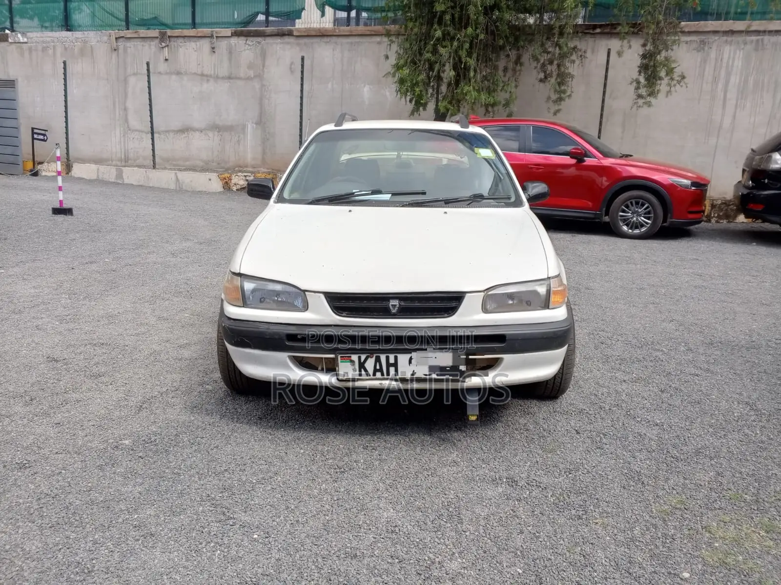 Toyota Corolla 1995 White