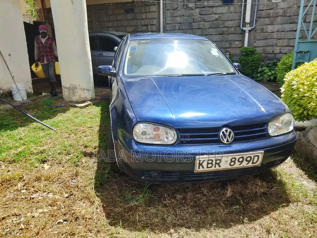 Volkswagen Golf 2005 Blue