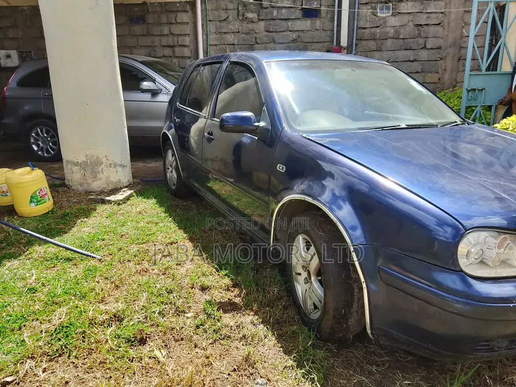 Volkswagen Golf 2005 Blue