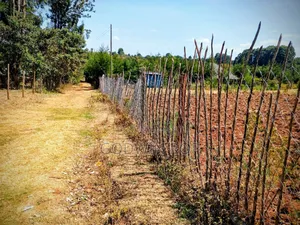 3 Points Land for Sale in Eldoret Kapsaret Lemook