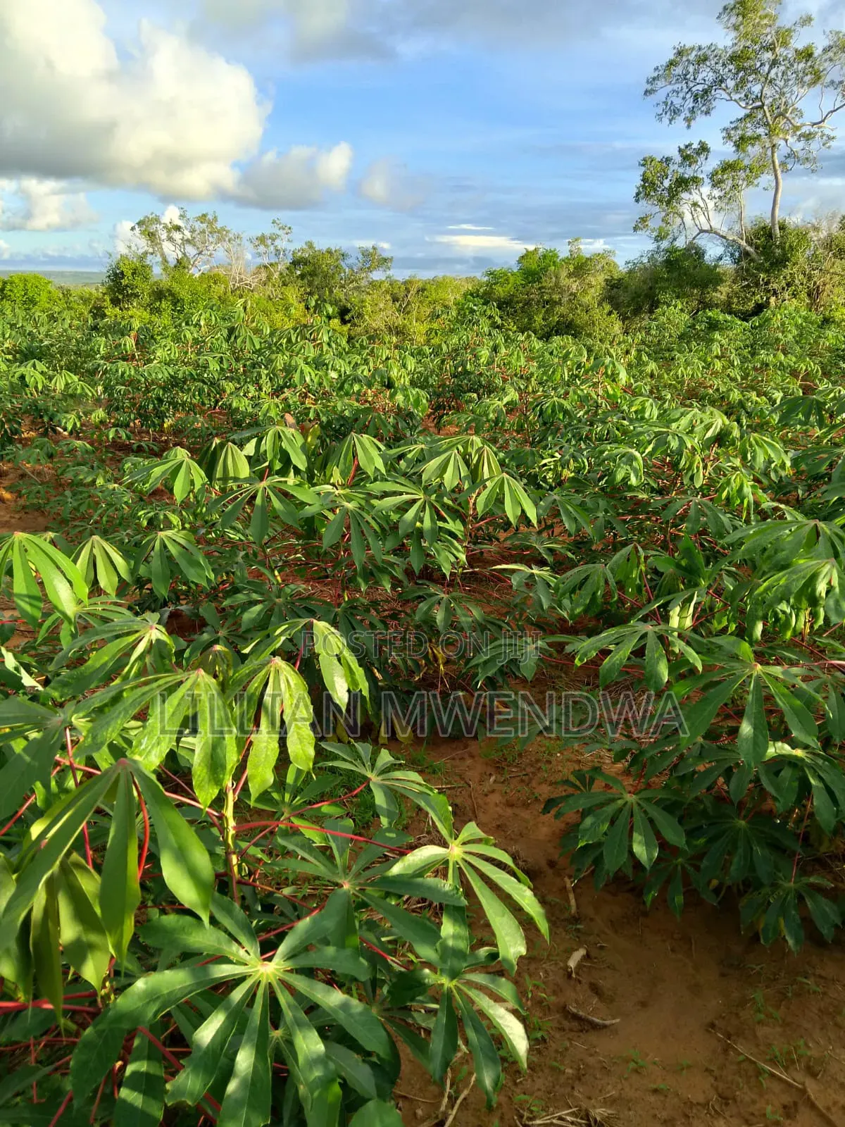 Dakacha Acres
