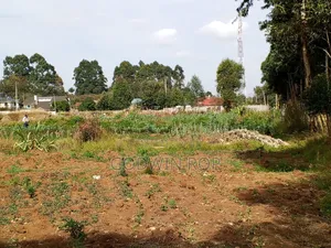 1⁄2 Acre Land for Sale in Upper Elgon View Eldoret.