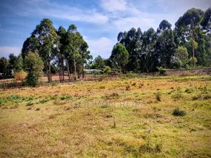 1⁄2 Acre Land for Sale in Upper Elgon View Eldoret.