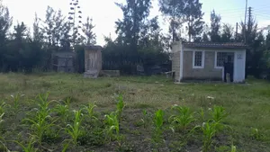 Prime Land for Sale at Ruai Block 10