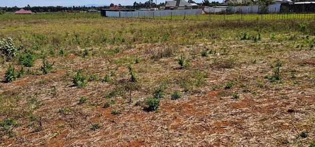Plots For Sale In Eldoret Chepkanga Chemaluk