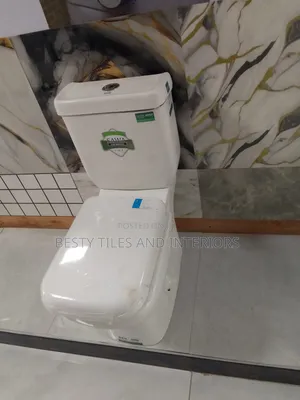 Toilet and Smart Toilets