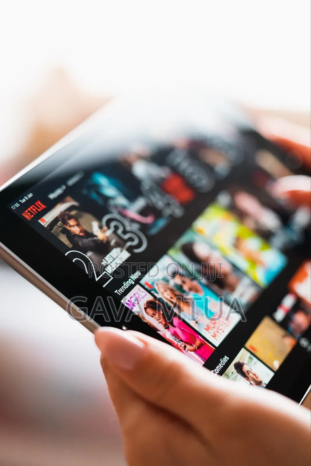 Netflix Accounts