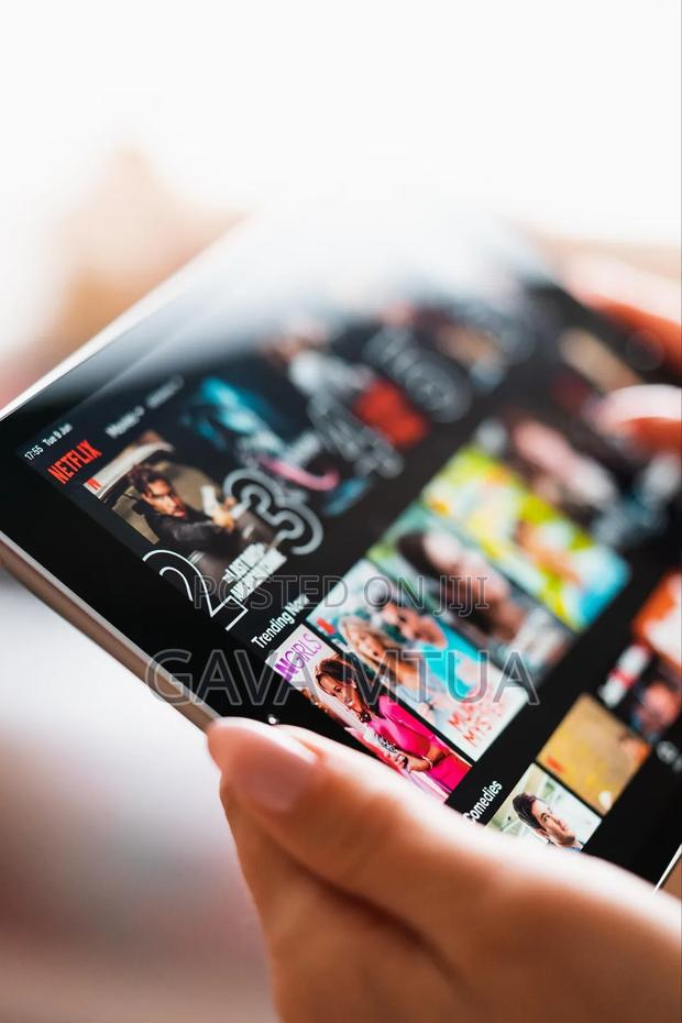 Netflix Accounts - main view