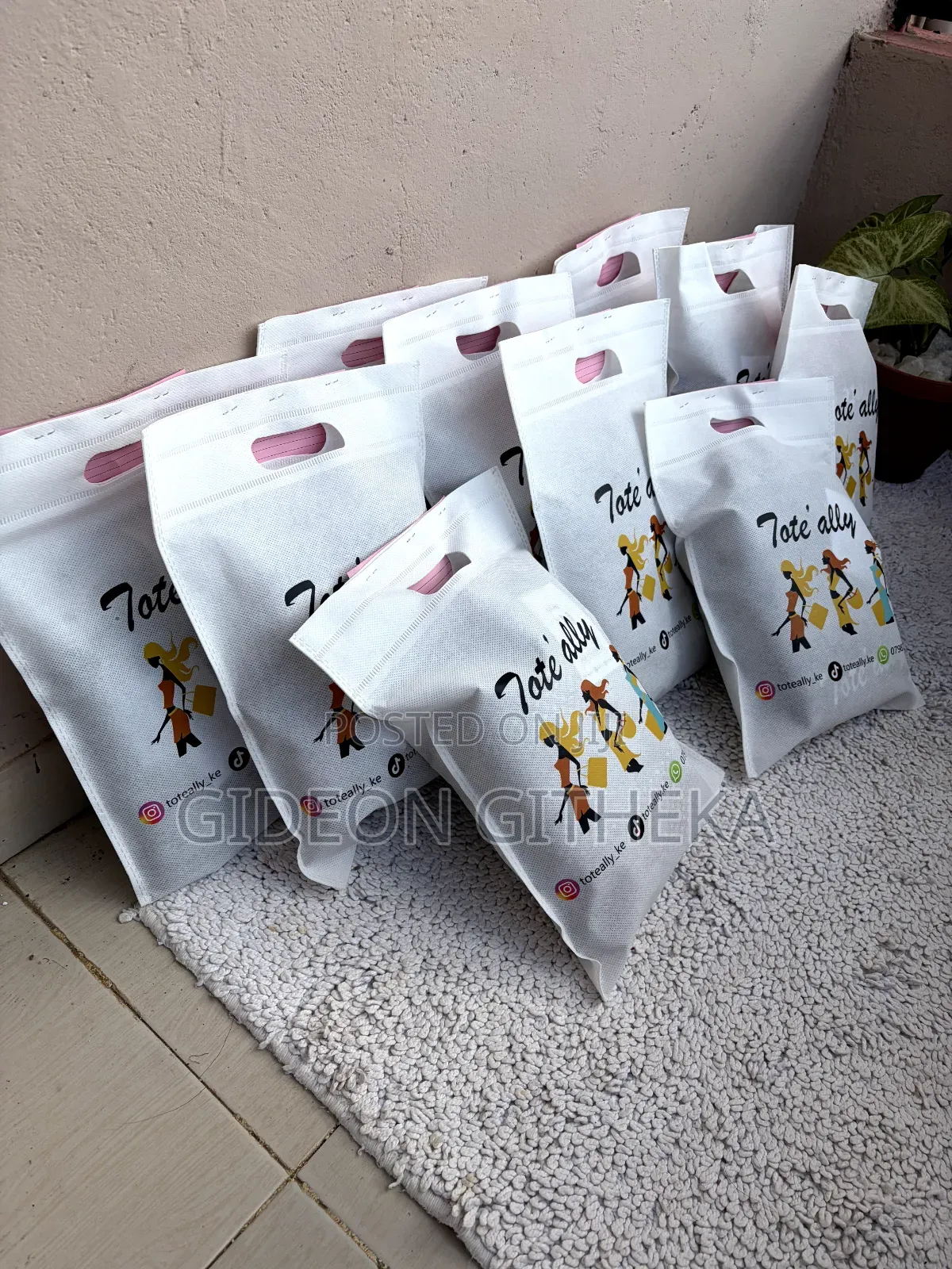 Totebag Ladies Fashion