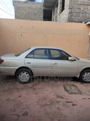 Toyota Carina 2000 Gray