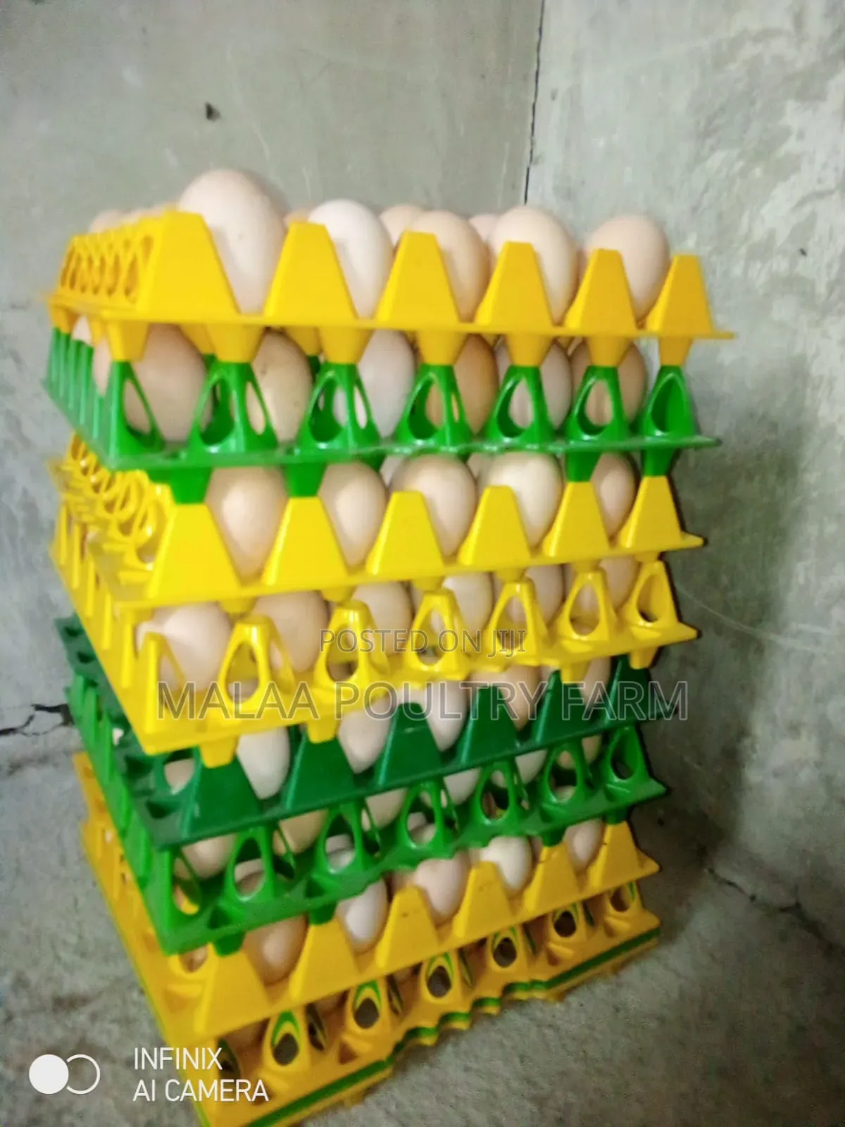 Fertilised Improved Kienyeji Eggs in Malaa