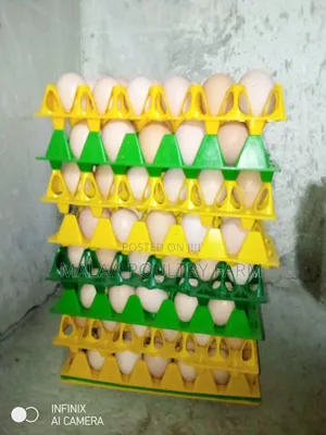 Fertilised Improved Kienyeji Eggs in Malaa