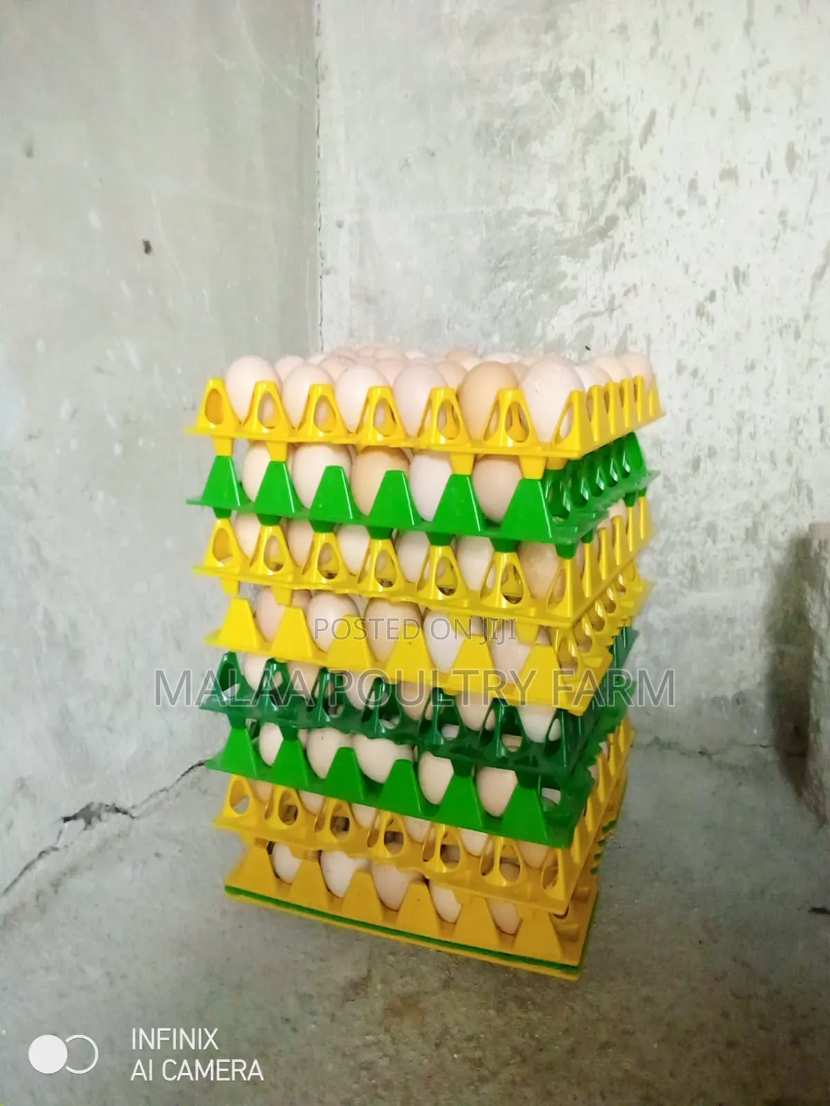Fertilised Improved Kienyeji Eggs in Malaa