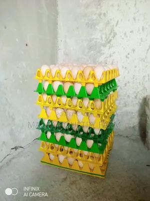 Fertilised Improved Kienyeji Eggs in Malaa