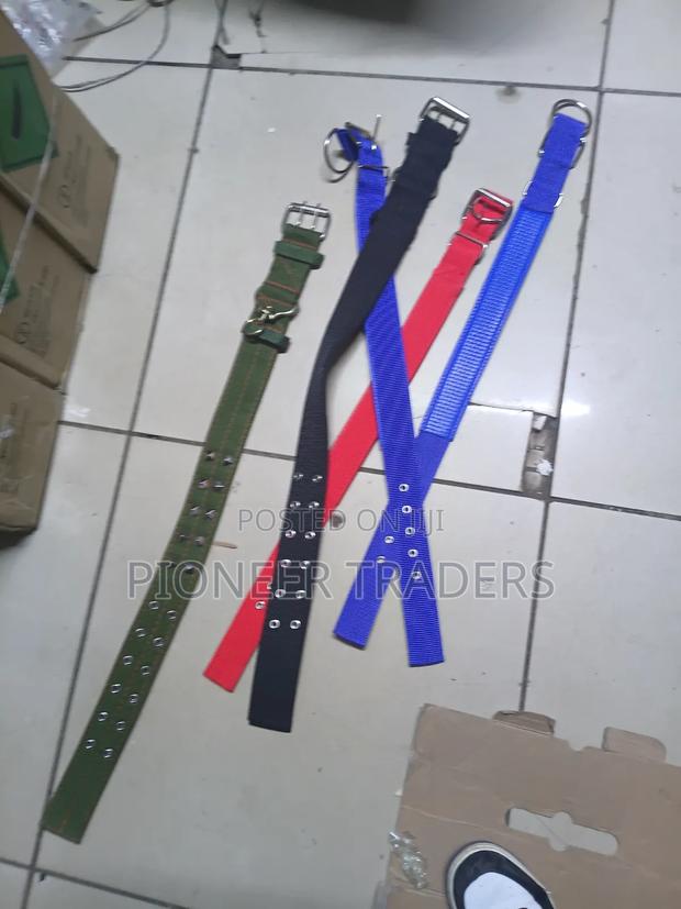 Dog Collar