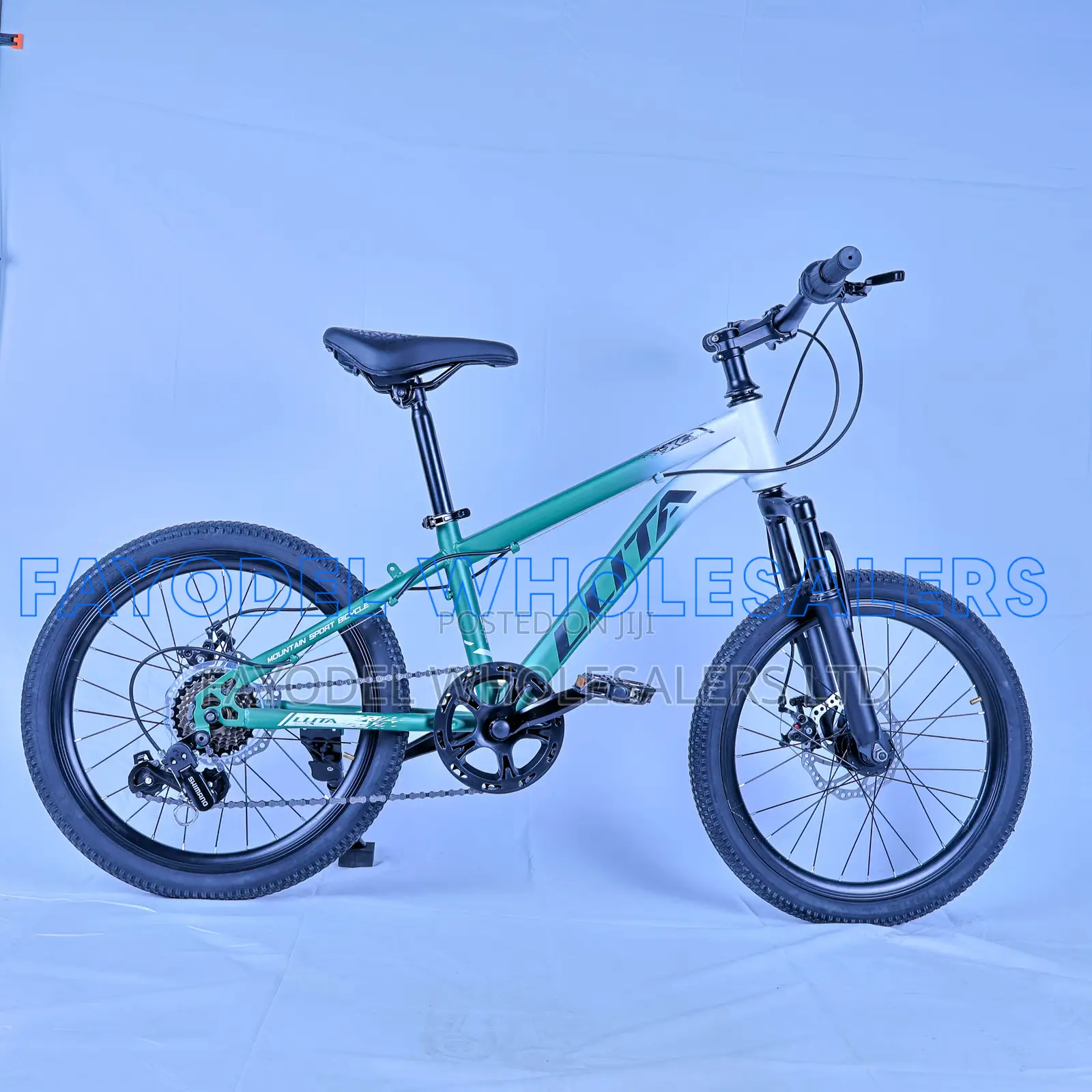 Llita 20" Mountain Bike for Kids and Teens