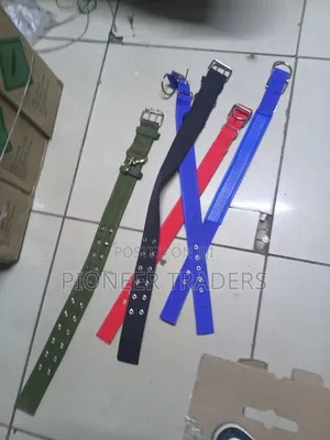 Dog Collar, Dog Collar