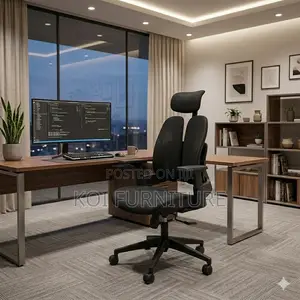 Office Chairs; Executive Orthopedic Office Chair With Dual Backrest
