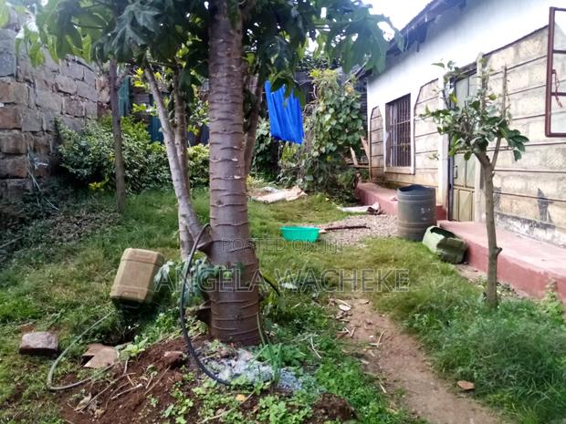 3bdrm Bungalow in Karanjee, Ndeiya for sale - thumbnail 4