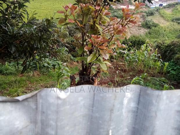 3bdrm Bungalow in Karanjee, Ndeiya for sale - thumbnail 7
