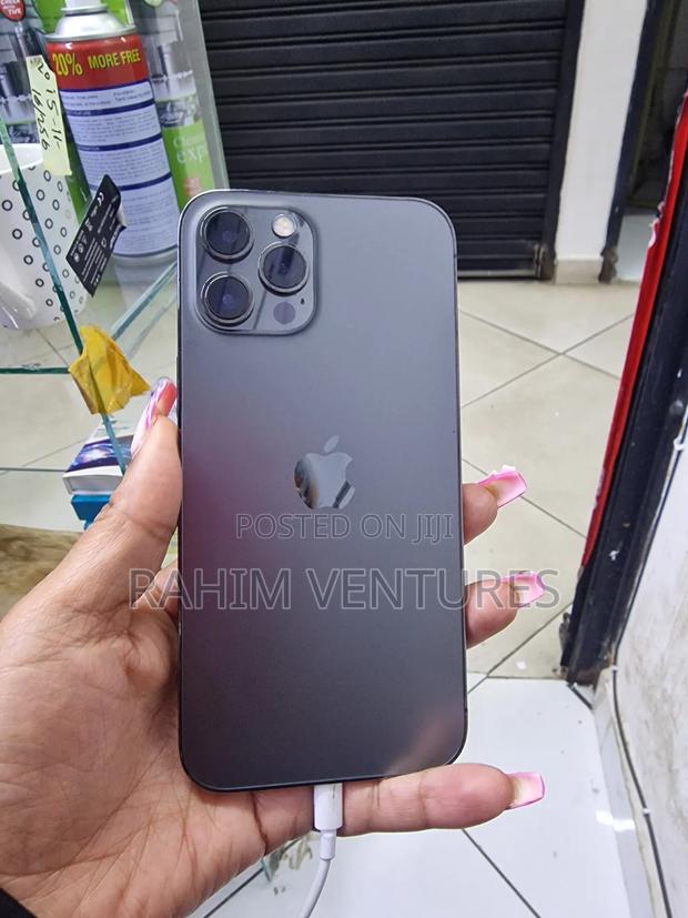 Apple iPhone 12 Pro Max 512 GB Gray
